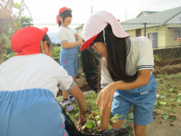 pict-IMG_4772