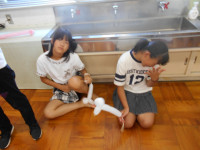 DSCN3455