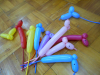 DSCN3483