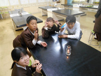 DSCN3677