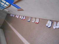 DSCN3678