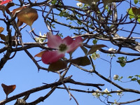 IMG_8036