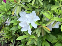 IMG_8045