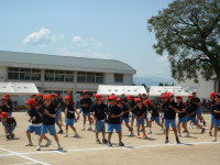 P5160396