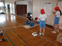 P5280478