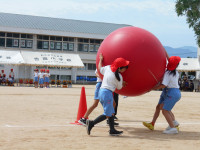 DSCN3267