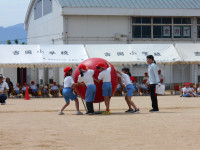 DSCN3269